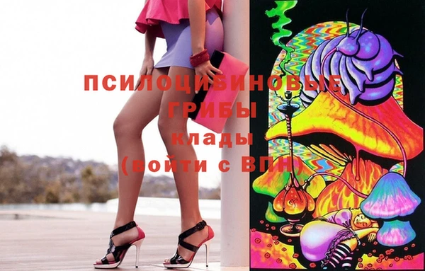 мдпв Абаза