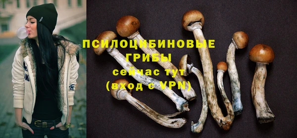 СК Абинск