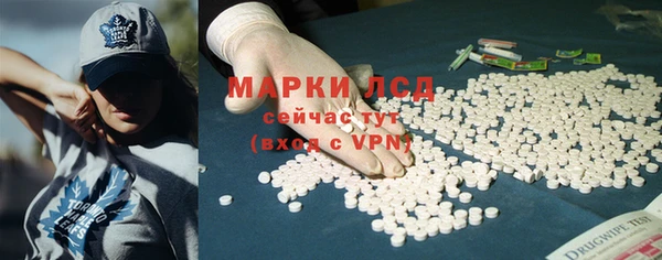 СК Абинск