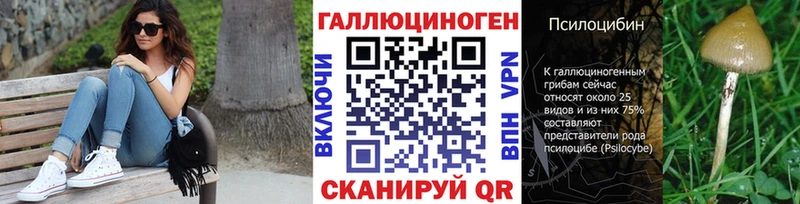сколько стоит  Рязань  Псилоцибиновые грибы Cubensis 